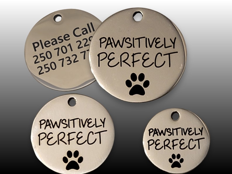 Pet Tags Dog Tags Personalized Pet ID Funny Tag Cat and Dog Pet Collar Charms Engraved Metal Tags Durable Gift for your Pet 3 sizes PAWSITIVELY PERFECT