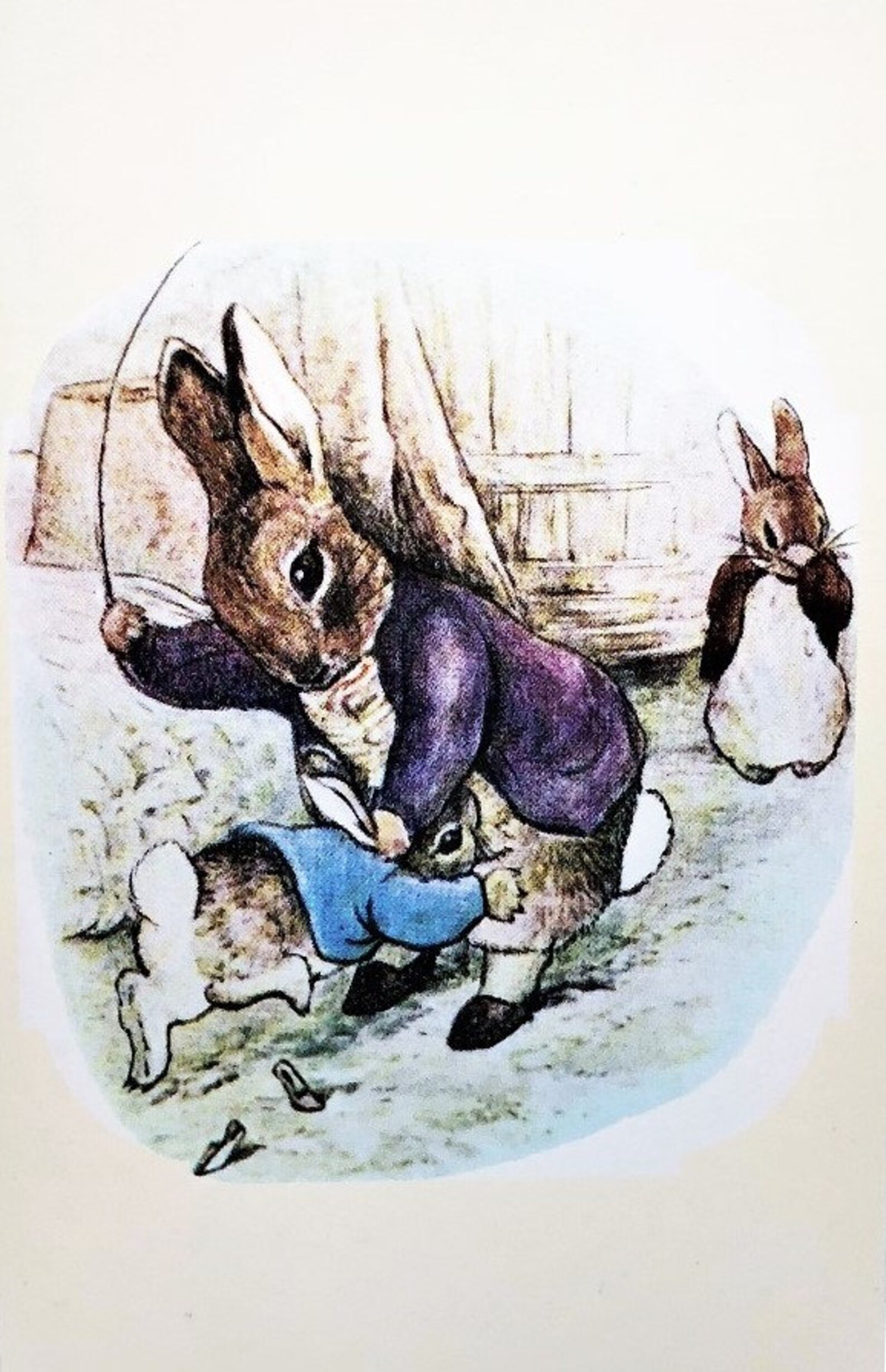 La Storia Di Benjamin Coniglio Beatrix Potter
