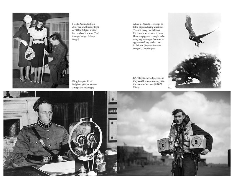 Operation Columba—The Secret Pigeon Service by Gordon Corera Operation Columba—The Secret Pigeon Service by Gordon Corera