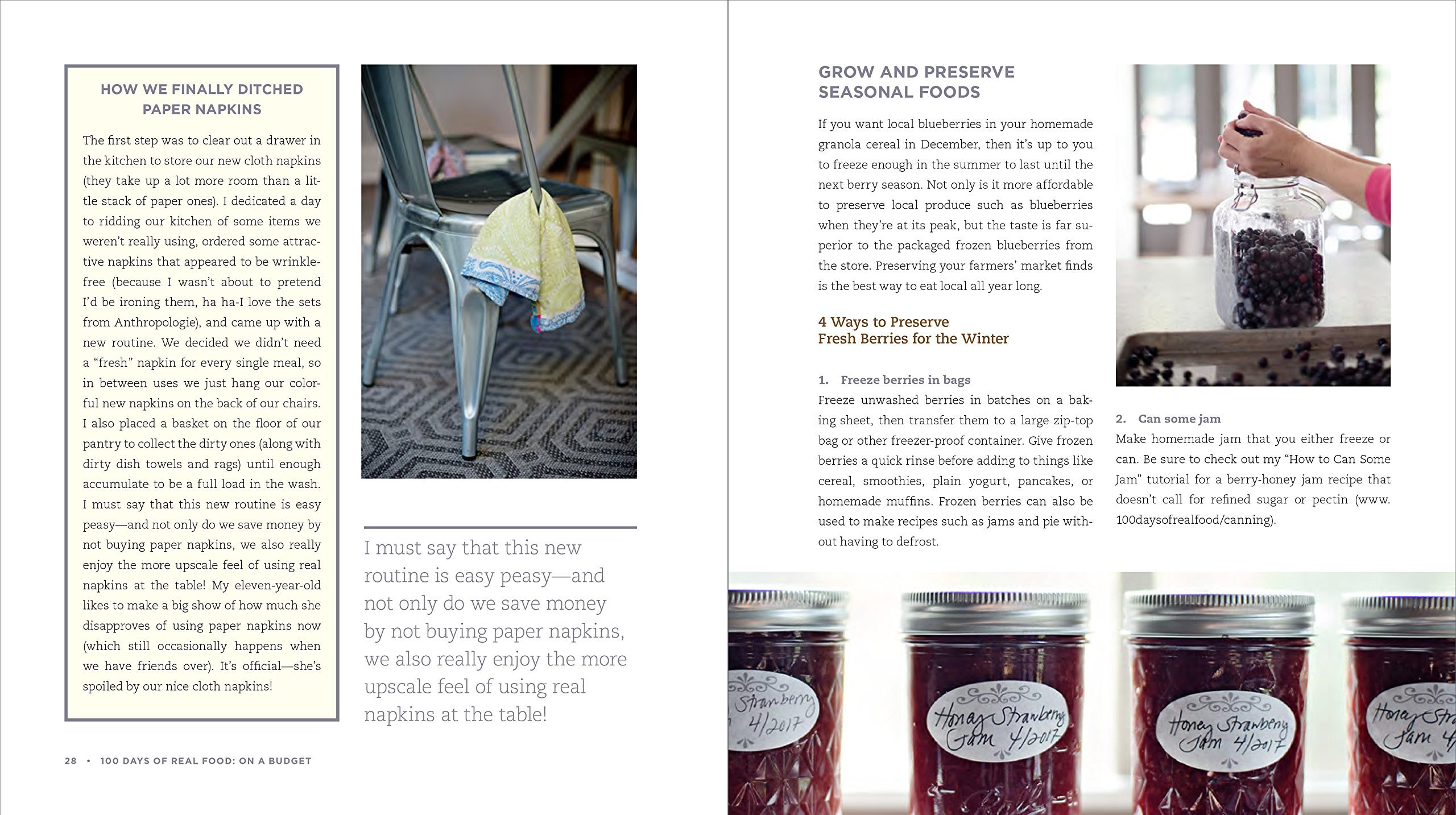 100 DAYS of REAL FOOD on a Budget by Lisa Leake Pristine Etsy