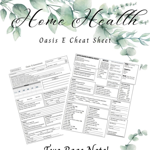 Home Health Oasis E Cheat Sheet SOC/ROC W/ Daily Patient Planner and Miles Log!!