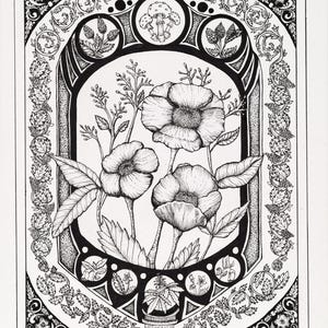 Poppies Art Print – Gifts from Nature Illustration – Botanical Ink Drawing – Fine Line Flower Artwork – Mystical Nature Wall Art