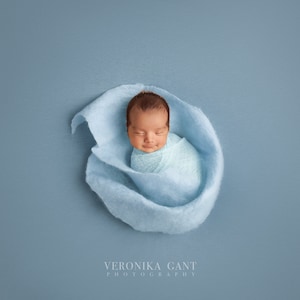 Newborn Digital Backdrop, Felted Layers, Newborn Photography Props BLUE