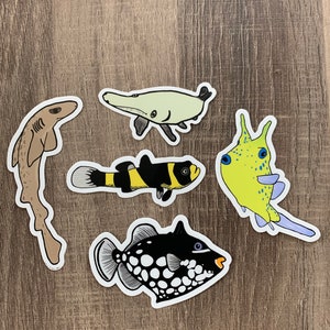 Fish friends pack
