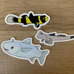 May include: Three fish stickers, one black and yellow, one gray, and one white with gray stripes. The stickers are on a wood background.