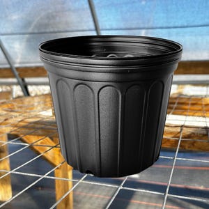 May include: A matte black plastic plant pot featuring a wide, reinforced circular rim and a series of vertical, arched indentations along the exterior walls. The container has a deep, cylindrical shape with a flat base and drainage holes.