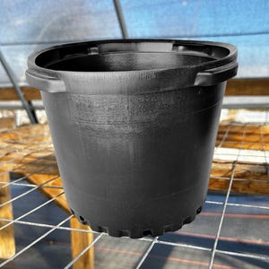 May include: A black plastic plant pot with a wide, reinforced rim and a series of drainage holes along the bottom edge. The container features a smooth, cylindrical body with a slightly tapered shape and a thick, durable top edge for handling.