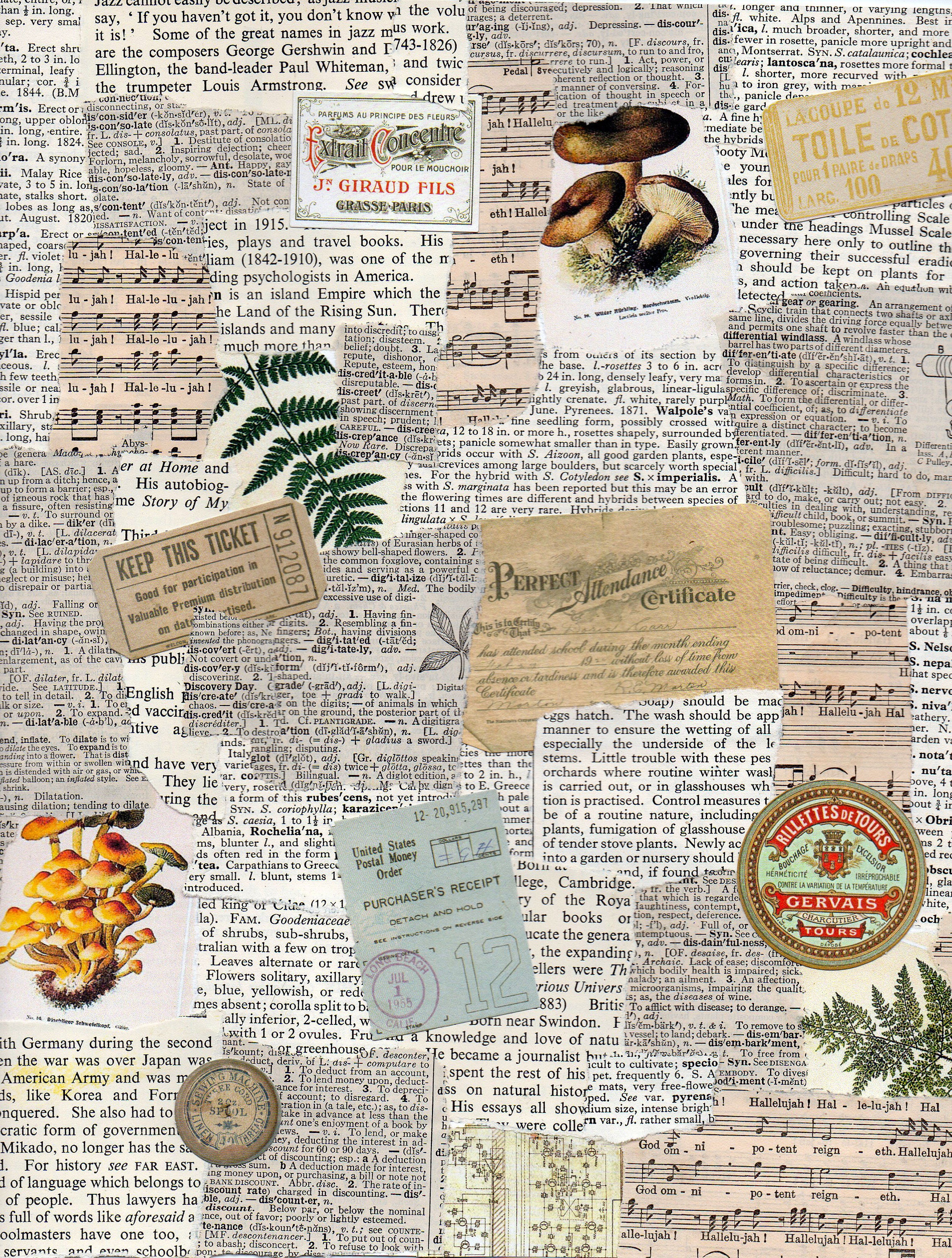 Vintage Pirate Digital Scrapbook Paper Graphic by Digital Attic Studio ·  Creative Fabrica