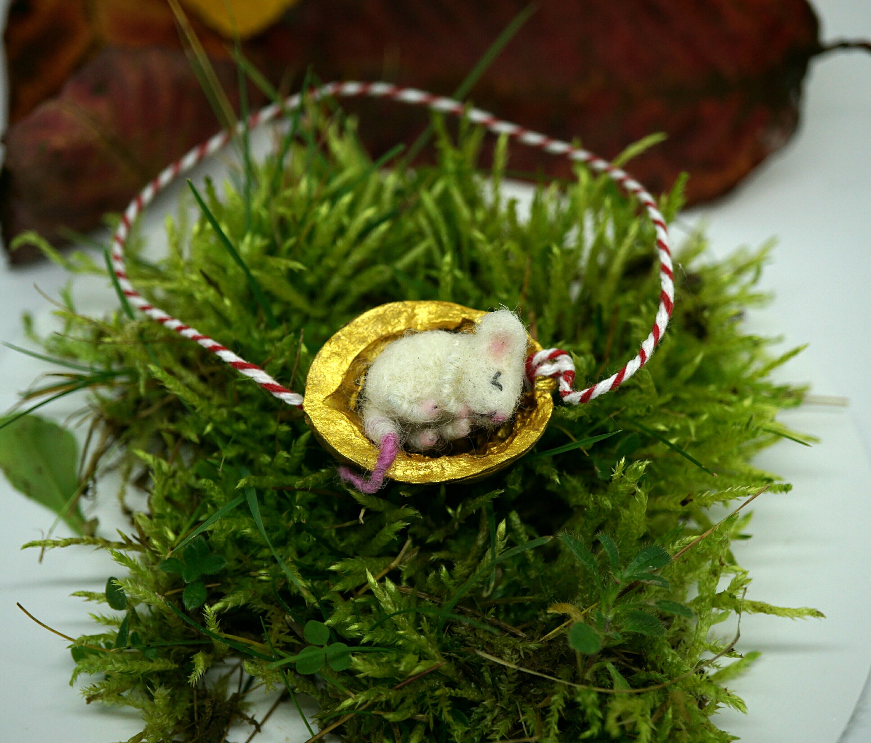 Tiny Needle Felted Sleeping Mouse in a Nut Shell Miniature Etsy