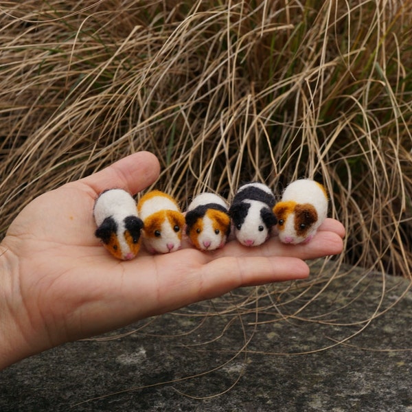 Ein Miniatur Meerschweinchen, Miniatur Hamster, Mikro Hamster, Miniatur Nadel gefilzter Hamster, Puppenhaus Miniatur, Terrarium Miniatur, niedlich