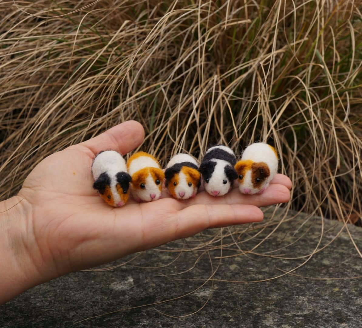 Slægtsforskning brugt Traditionel ONE Miniature Guinea Pig Miniature Hamster Micro Hamster - Etsy