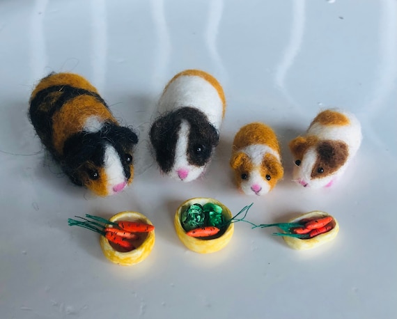 Guinea pig christmas toys discount