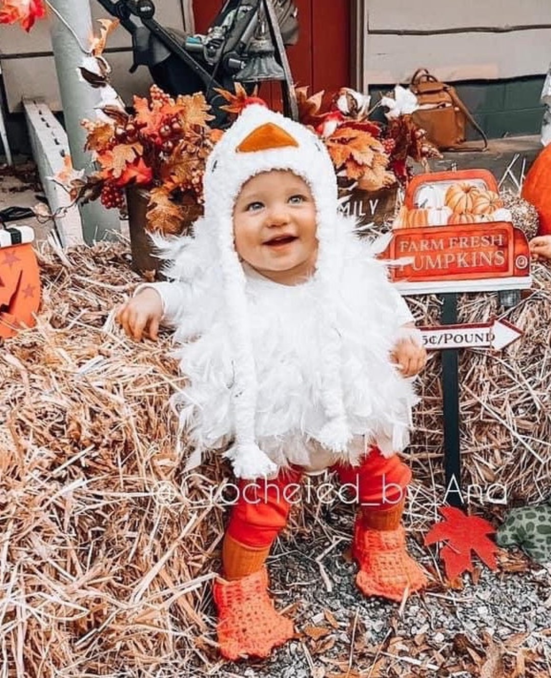 Disfraz de pollo bebé, Halloween, disfraz de niño pequeño, sombrero de pollo,  accesorio de foto de Halloween, disfraz de Halloween, disfraz de recién  nacido. -  México