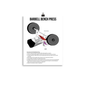 Bench Press - Gym Poster, Bodybuilding, Weightlifting, Powerlifting, Crossfit, WOD, Fitness, Workout, Anatomy Diagram, Muscle Chart