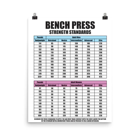 Powerlifting bench press workout sale