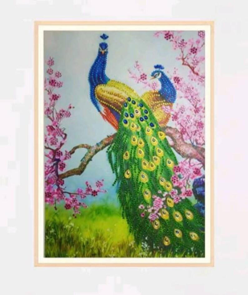 40cm X 30cm Special Shaped Diamond Painting Kit Partial Drill Peacock #3 DIY Diamond  Embroidery Drill 5D DIY Home Decor