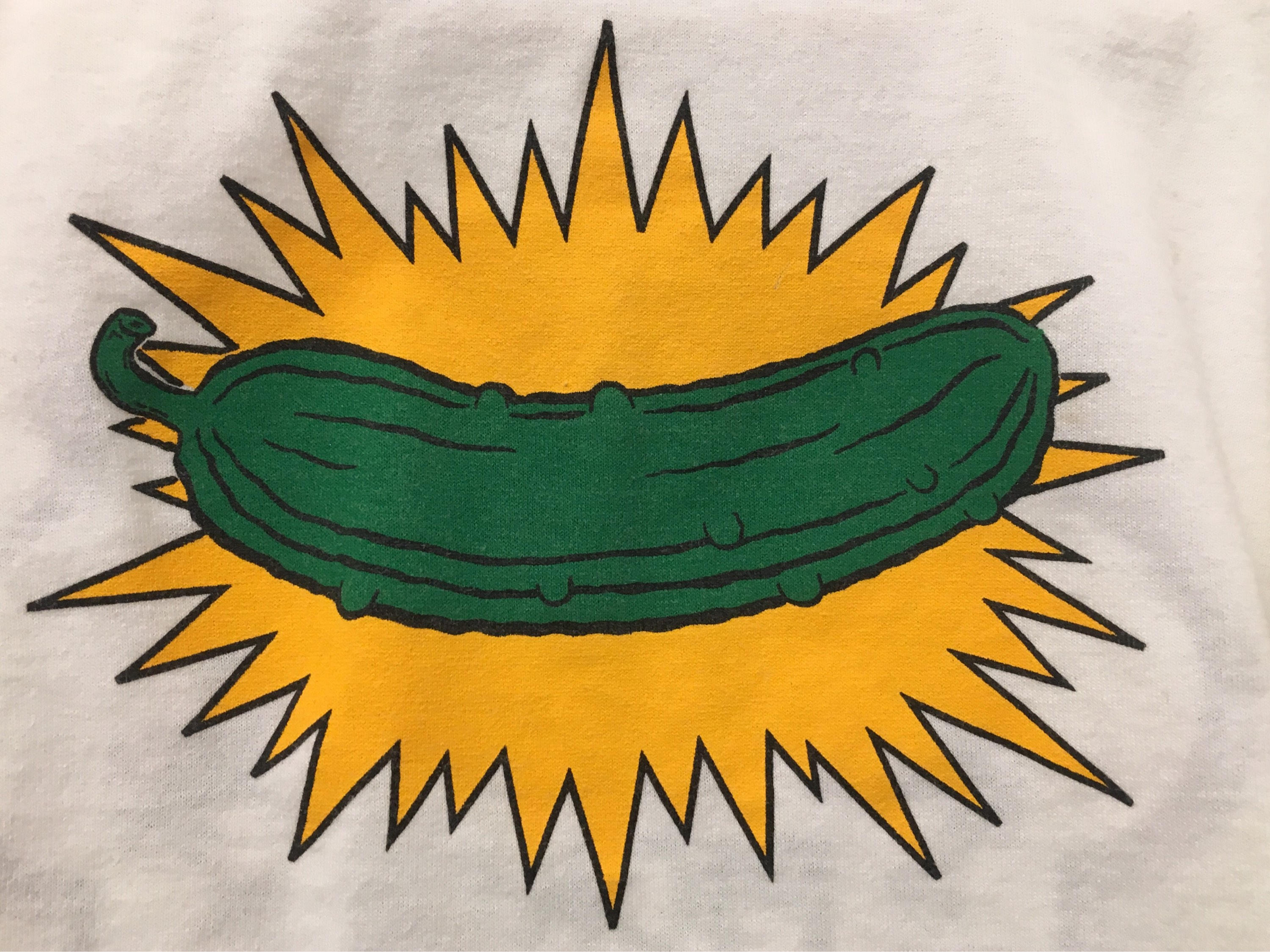 Authentic 90s Skankin' Pickle Concert T/ringer T - Etsy