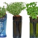 Self Watering Hydroponic Garden Gift / Wine Bottle Indoor Herb