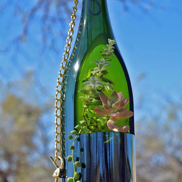 Wine Bottle Planter (bottle only) / Hanging Succulent Planter for Mom / Hanging Plants Wine Gifts / Hanging Planter / Succulent Terrarium