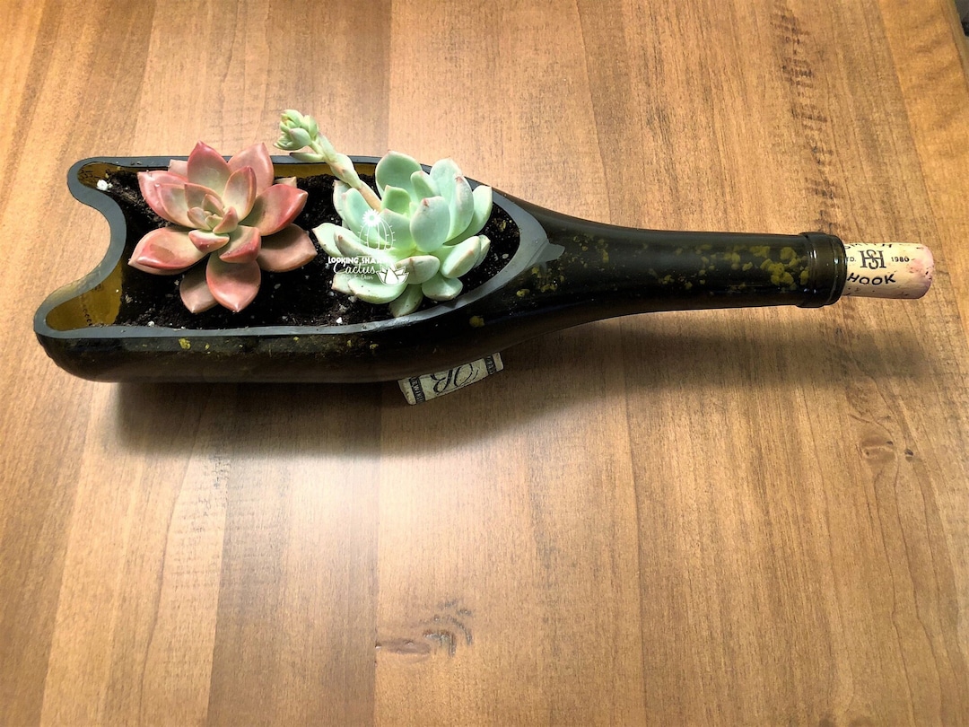 Wine Gifts for Mom / Wine Bottle Planter no Plants / Mother Etsy