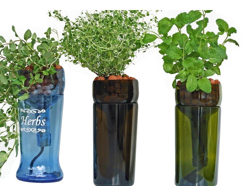 Indoor Kitchen Herb Garden In A Wine Bottle Indoor Kitchen Herb Garden In A Wine Bottle Kit Image 0