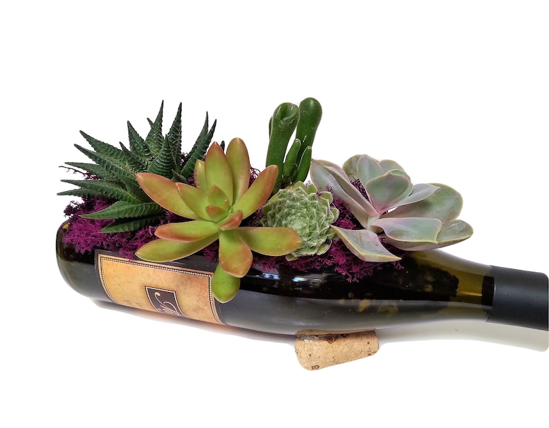 1 Wine Bottle Tray / Wine Lover Gift / Succulent Planter / image 5