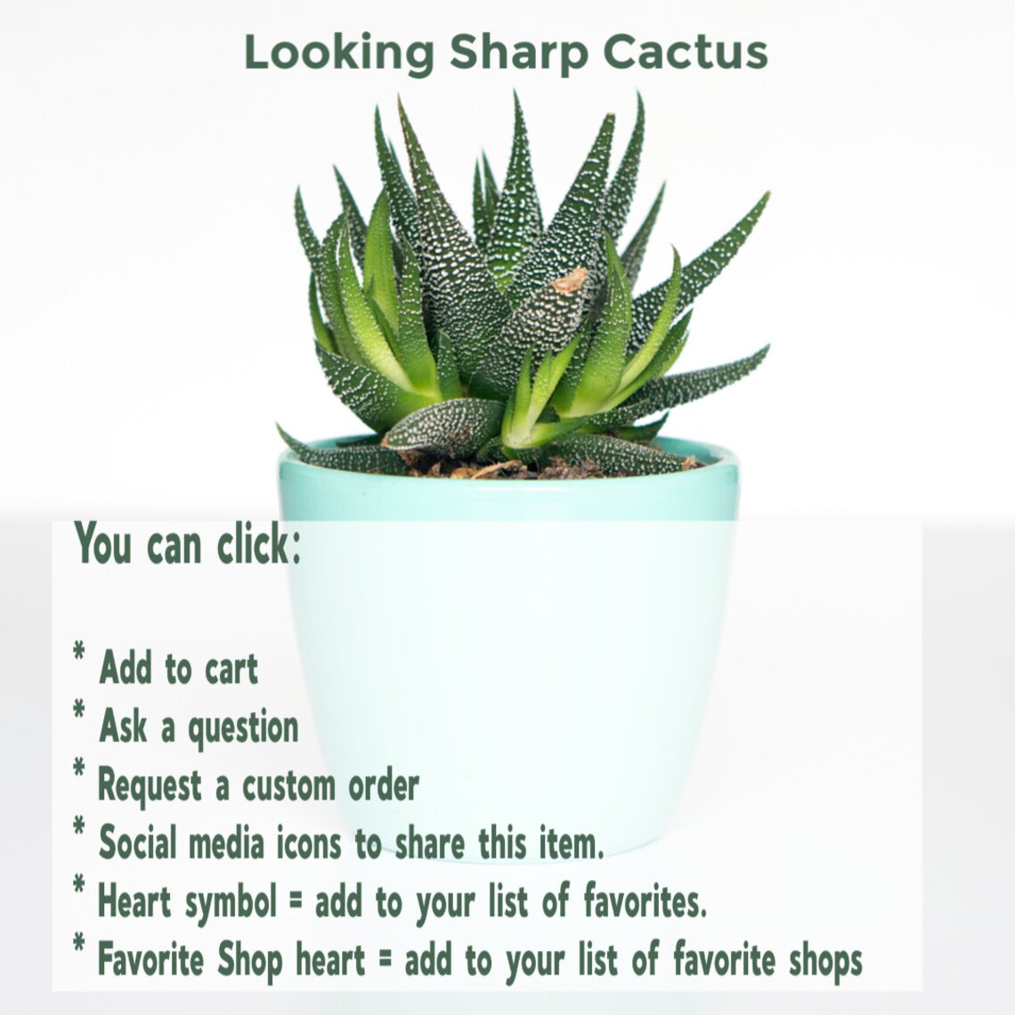 Don Julio 1942 Tequila Pendant Light Shade / Glass Pendant