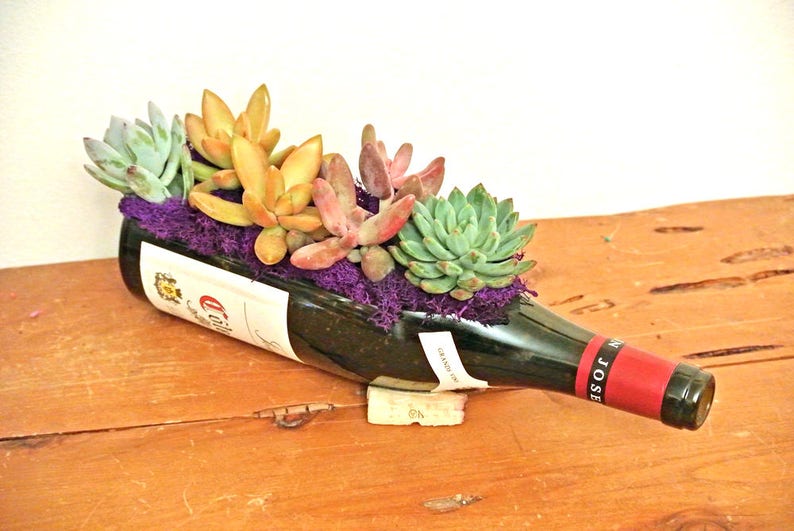 Wine Bottle Garden Birthday Day Gift Cactus Indoor Plants Wine Bottle Gift Gift For Wife Gift Ideas For Mom Glass Terrarium Kit