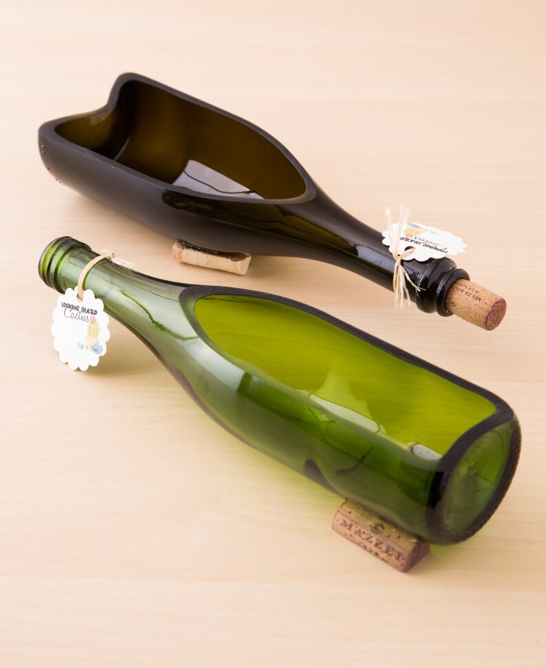 Wine Bottle Garden Birthday Day Gift Cactus Indoor Plants Wine Bottle Gift Gift For Wife Gift Ideas For Mom Glass Terrarium Kit