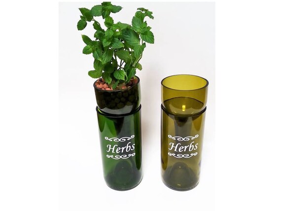 Self Watering Indoor Herb Garden Hydroponic Garden Bottle Planter Gardening Gift Wine Gifts Wine Bottle Indoor Planter Basil