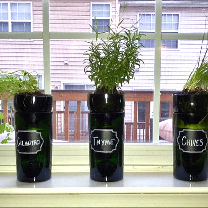 Self Watering Indoor Herb Garden Hydroponic Garden Bottle Planter Gardening Gift Wine Gifts Wine Bottle Indoor Planter Basil