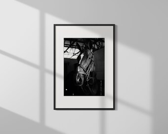 Schwarzweiss Pferde Fotografie, Fine Art Druck, Moderne Bauernhaus Wandkunst, Rustikale Küsten Dekoration, Andalusische Pferde Fotografie