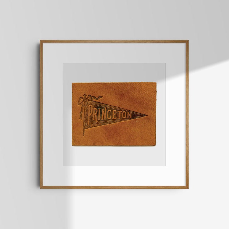 Vintage Princeton - Etsy