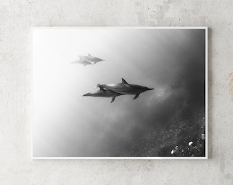 Guardian | Fine Art Photograph, underwater photography hawaii dolphins ocean travel serenity calm