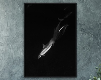 Grace | Fine Art Photograph Underwater Dolphins Coastal Contemporary Minimalist Minimal Wall Decor Print Photography