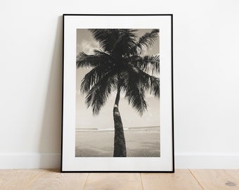 Zwart-wit sepia palmboom tropische oceaan eilandreizen