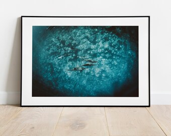 Hawaii Dolphins  Underwater | Ocean Photograph Fine Art Print