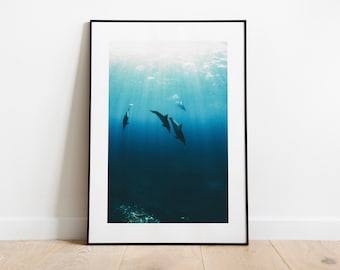 Hawaii Dolphins | Ocean Photograph Fine Art Print