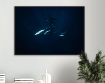 Sea Bliss | Fine Art Underwater Dolphins Coastal Contemporary Zen Minimal Wall Decor Print Photography