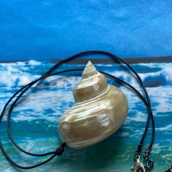 Ursula Turbo Shell Choker, Real, Pearly white turban shell on shiny black wax cord. Ursula necklace