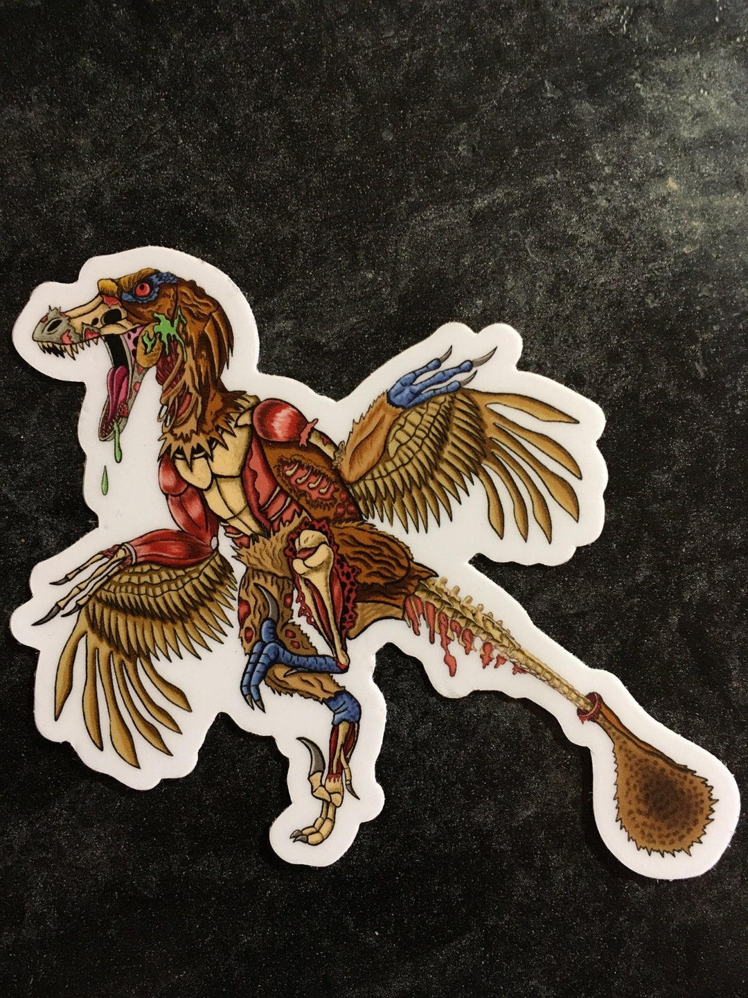 Zombie Raptor Dinosaur Zombie Velociraptor Dinosaur Sticker - Etsy