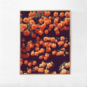Dark Florals Art Print, Orange Wall Art, Floral Print Art, Large Botanical Print DOWNLOAD Floral Photography Printable Art, Bedroom Wall Art image 5