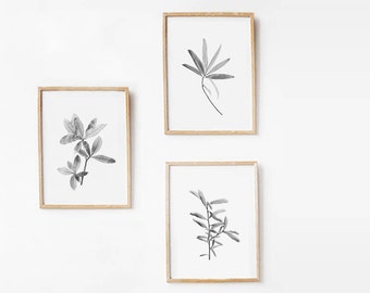 Botanical Print Set, Minimalist Nature Print Art, Printable Art Print Set 8x10 Minimalist Art, Black And White Photography DIGITAL DOWNLOAD