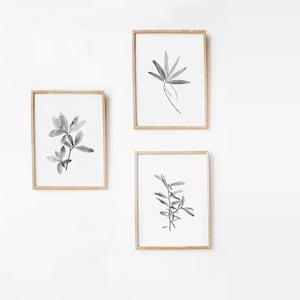 Botanical Print Set, Minimalist Nature Print Art, Printable Art Print Set 8x10 Minimalist Art, Black And White Photography DIGITAL DOWNLOAD