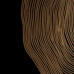 Puede incluir: Impresi&oacute;n de arte abstracto con fondo negro y un patr&oacute;n dorado de l&iacute;neas onduladas.
