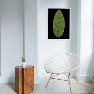 May include: A framed black and white print of a single green leaf against a black background. The print is hanging on a white wall in a room with a white chair and a wooden side table.