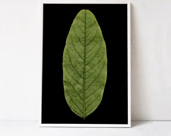 Green Poster, Dark Interiors Wall Art Print: Green Leaf Print- Large Botanical Print. Green Wall Art PRINTABLE ART Digital Print Download A1