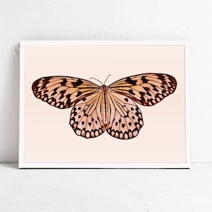 Animal Art, Butterfly Print, Neutral Nursery Downloadable Print, Butterfly PRINTABLE ART Kids Room Digital Print, Beige Decor, Earth Tones