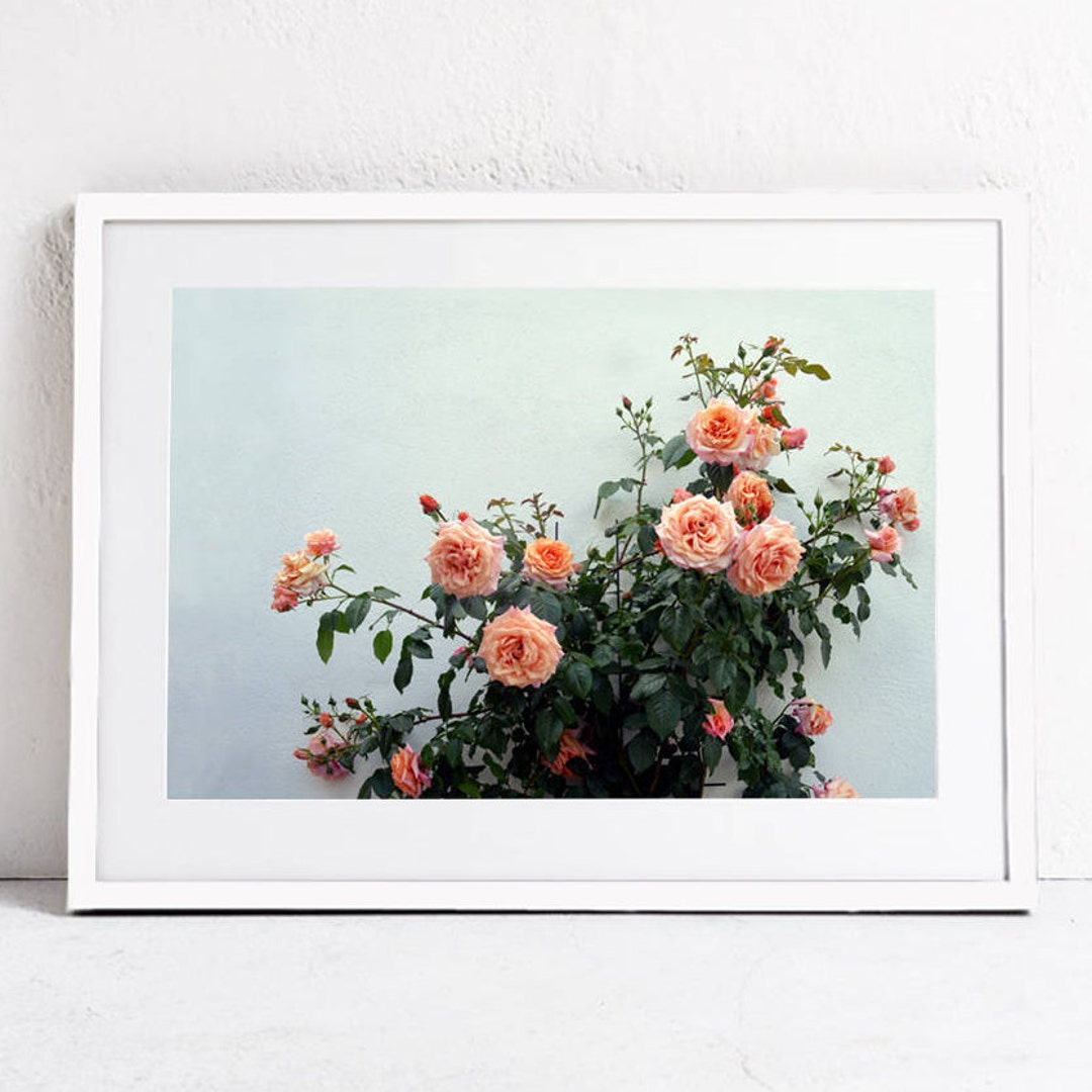 Floral Wall Art Print, Pink Roses Photography Print, Floral Print Wall ...