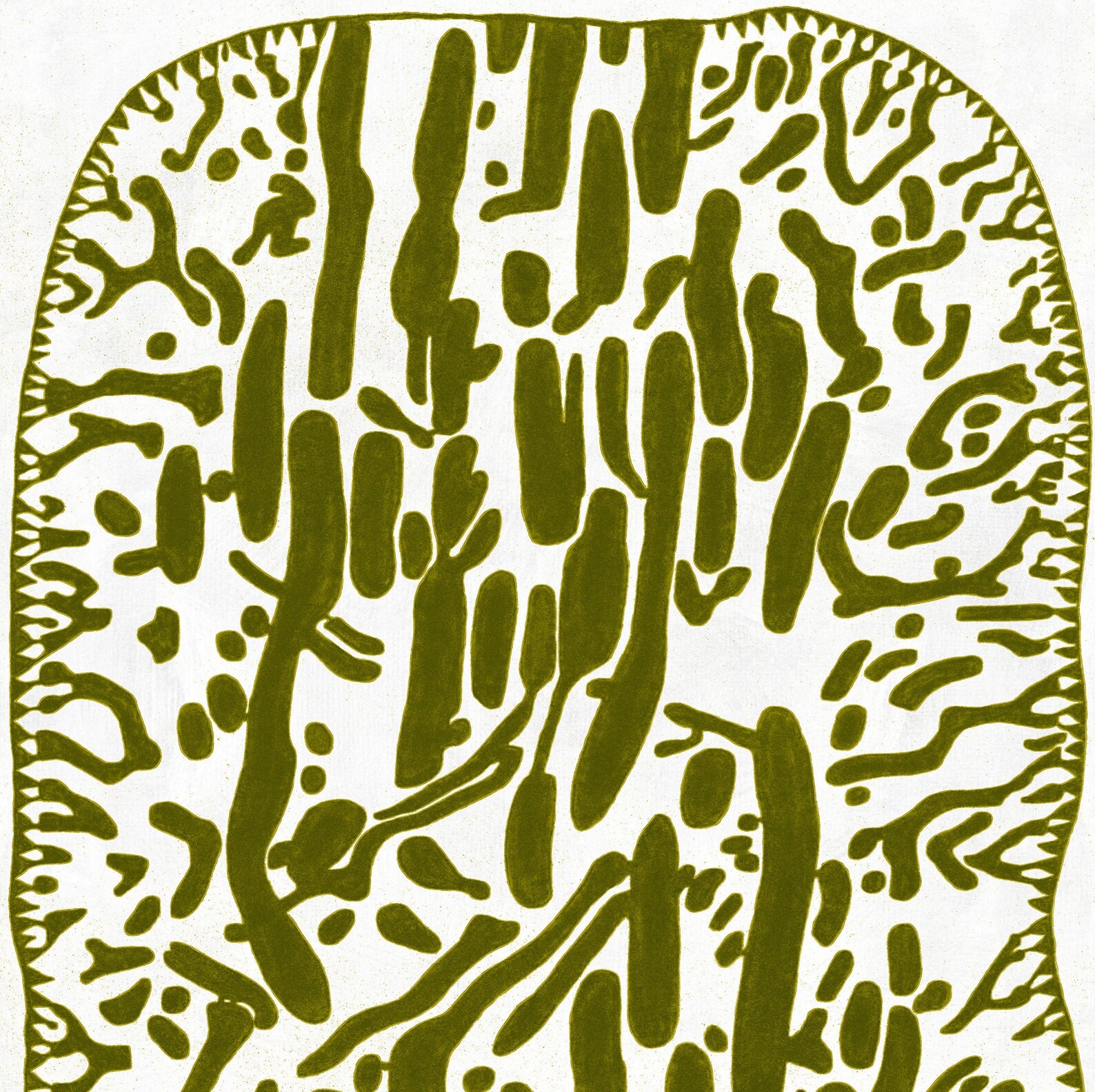 Olive Green Wall Art Print Modern Home Decor Poster Printable Etsy